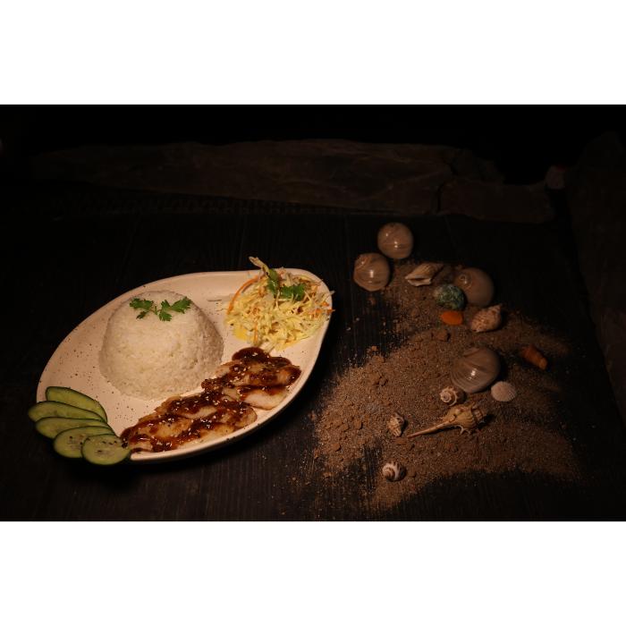 Teriyaki Chicken